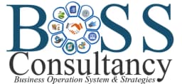 Business Systems and Strategies logo